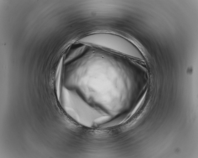 X0000090870857200708171624