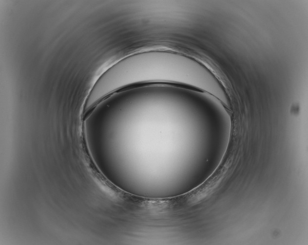 X0000090870858200708171624