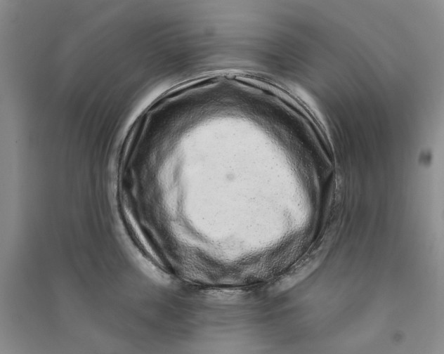 X0000090870859200708171624