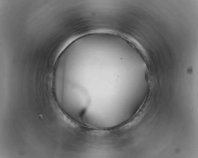 X0000090870860200708171624