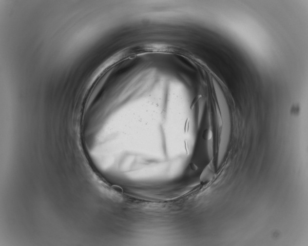 X0000090870861200708171624