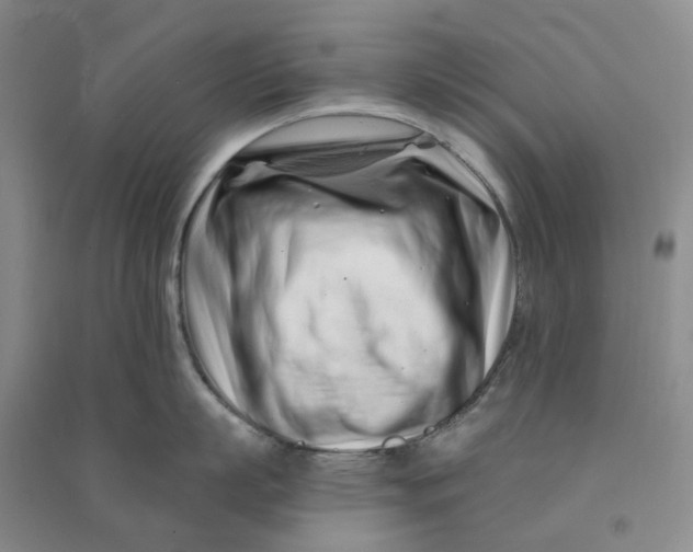 X0000090870863200708171624