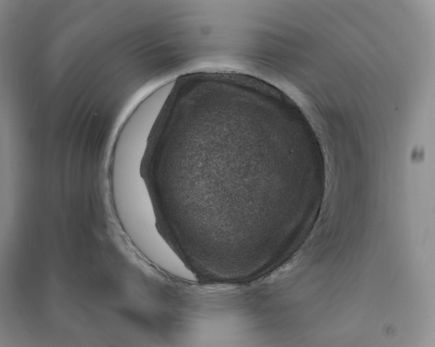 X0000090870864200708171624