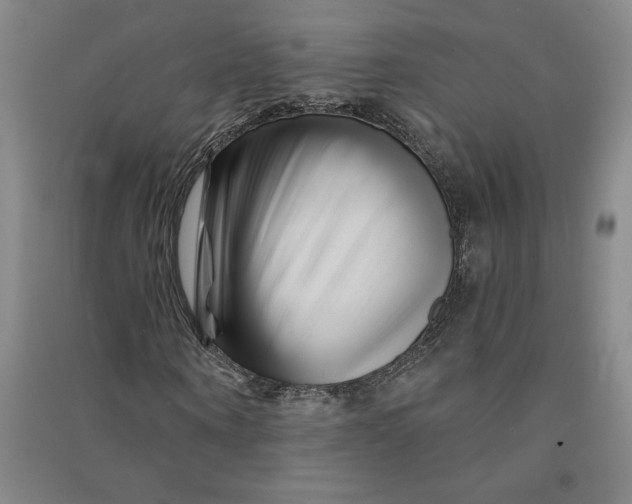 X0000090870866200708171623