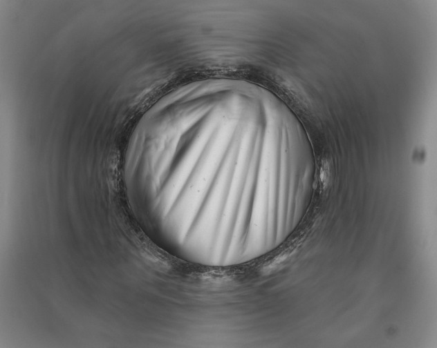 X0000090870867200708171623