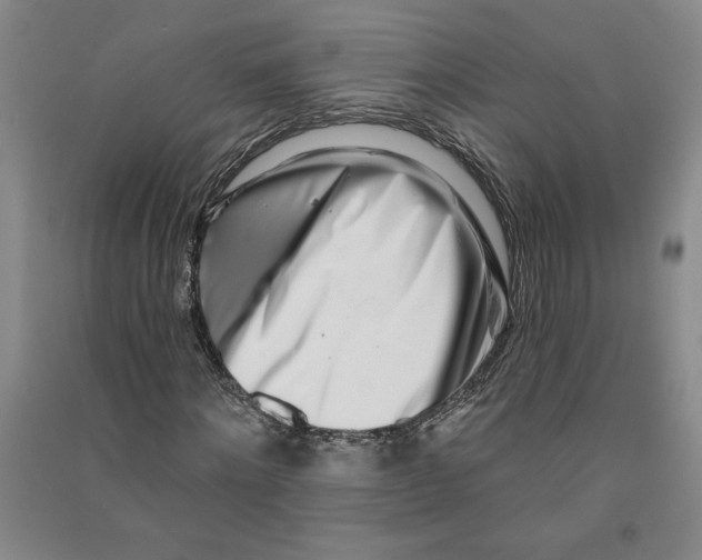 X0000090870868200708171623