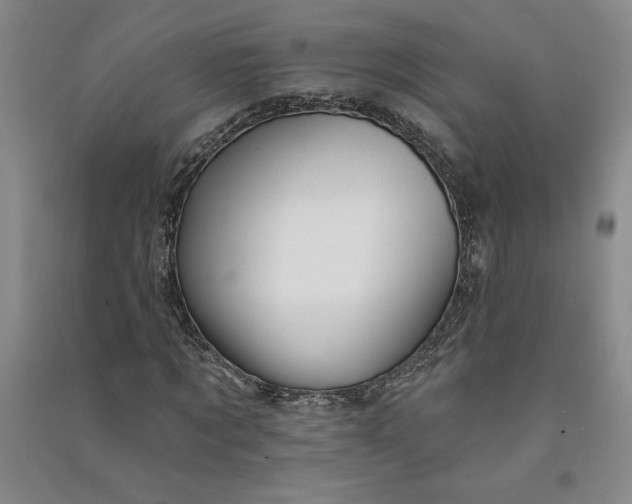 X0000090870869200708171623