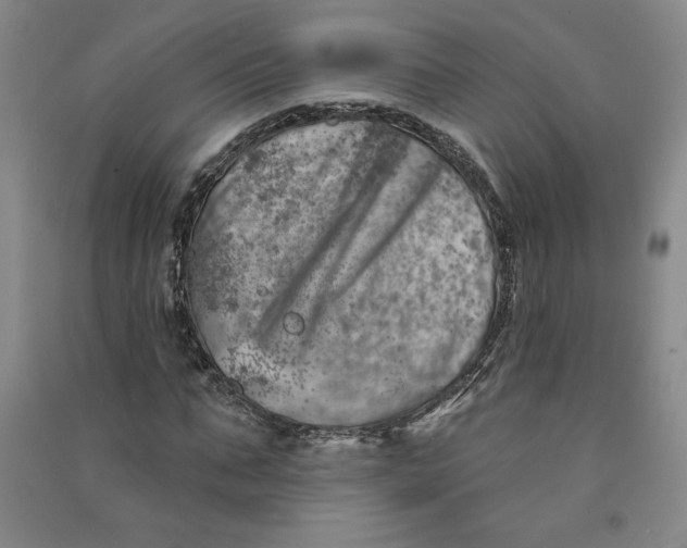 X0000090870871200708171623