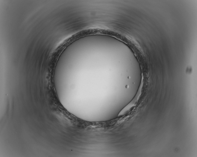 X0000090870872200708171623