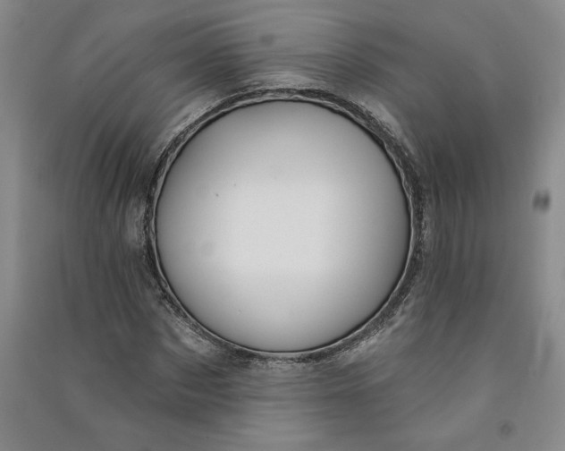 X0000090870873200708171623