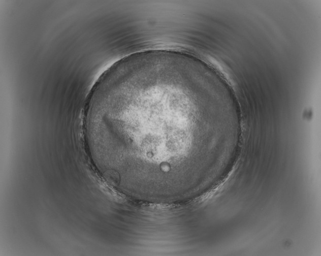 X0000090870875200708171623