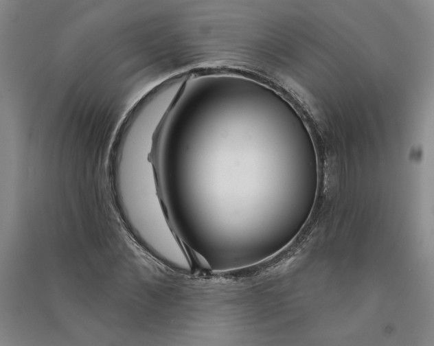 X0000090870876200708171623