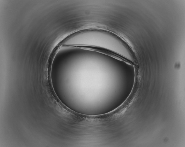 X0000090870877200708171623