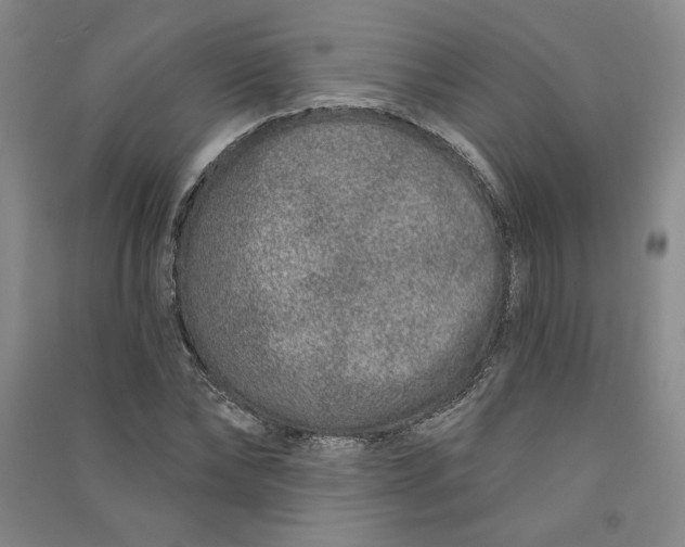 X0000090870878200708171623