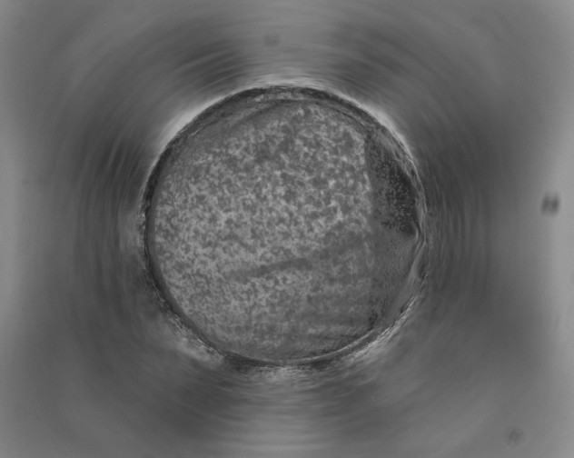 X0000090870879200708171623