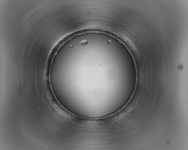 X0000090870880200708171623