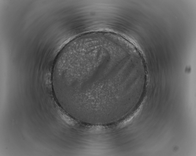 X0000090870881200708171623