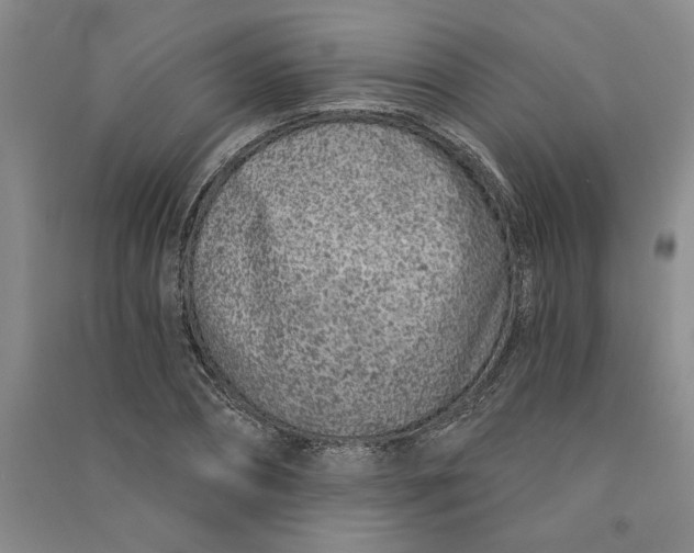 X0000090870882200708171623