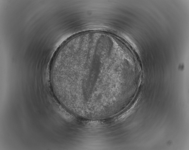 X0000090870883200708171623