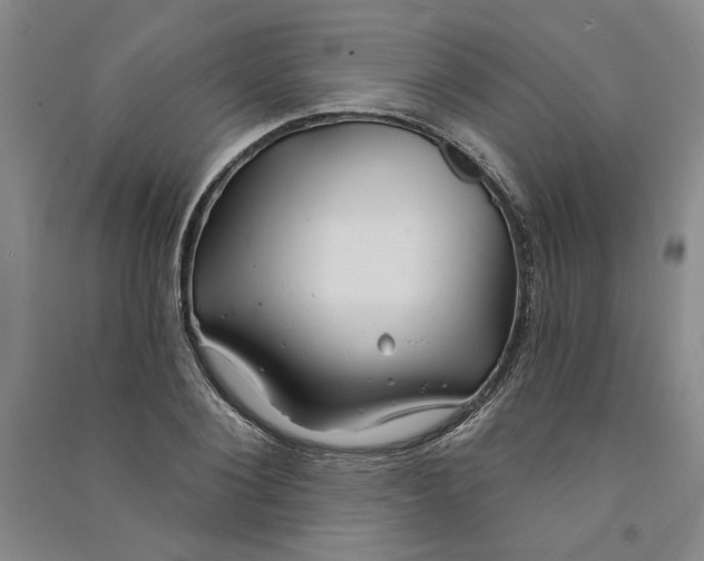 X0000090870884200708171623