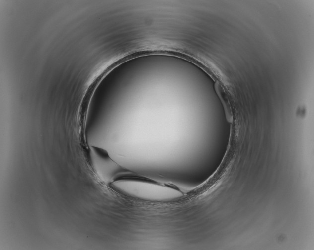 X0000090870885200708171623