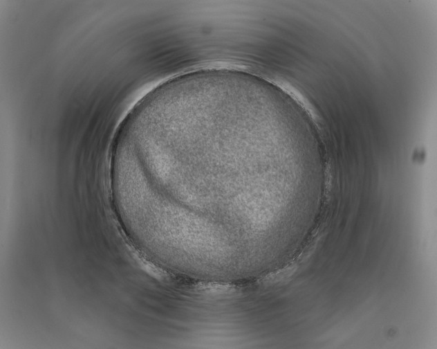 X0000090870886200708171623