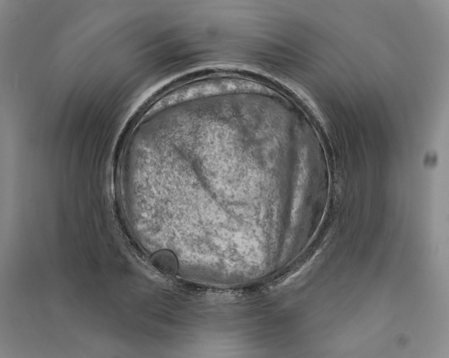 X0000090870887200708171623