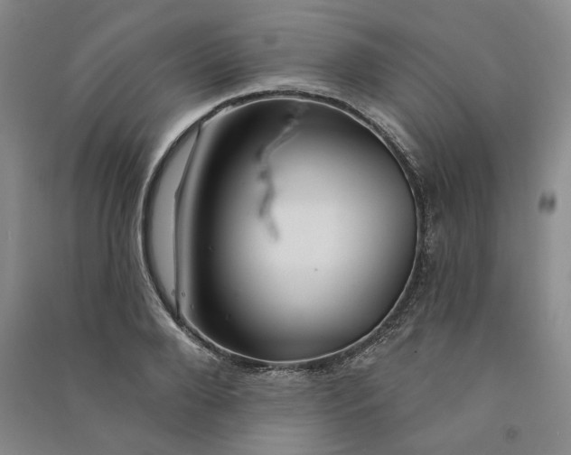 X0000090870888200708171623