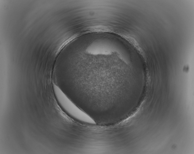 X0000090870889200708171623