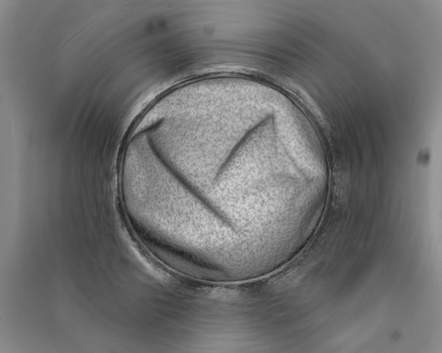 X0000090870890200708171623