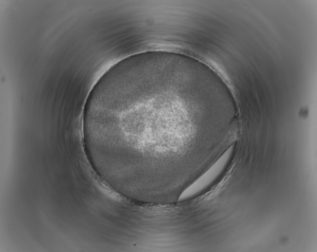 X0000090870891200708171623