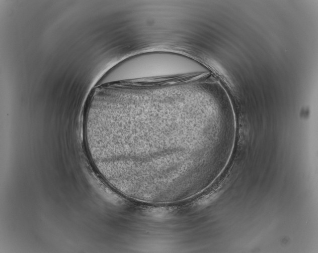 X0000090870892200708171623