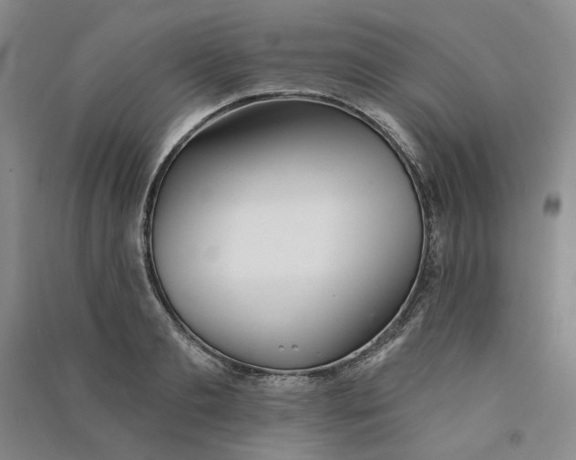 X0000090870893200708171623