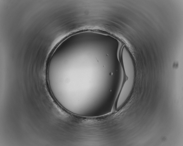 X0000090870894200708171623