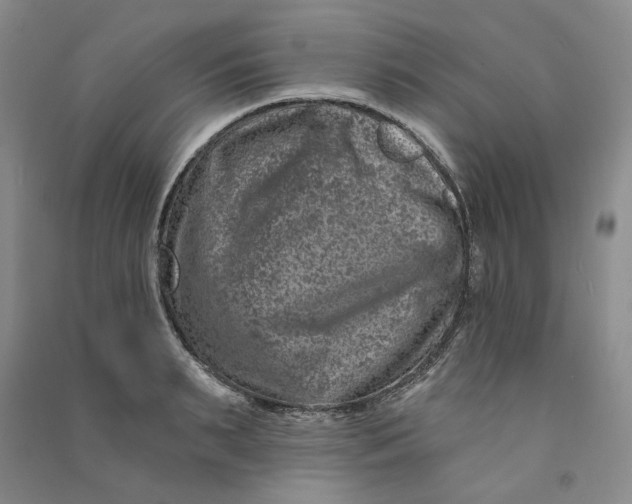 X0000090870895200708171623