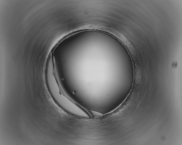 X0000090870896200708171623