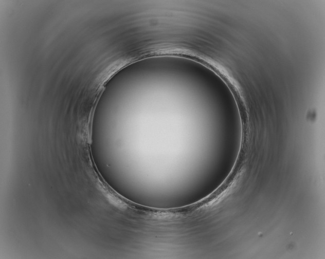 X0000090870897200708171623