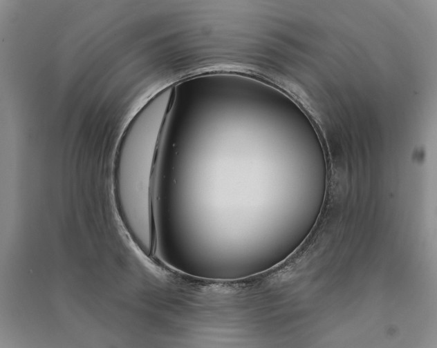 X0000090870898200708171623