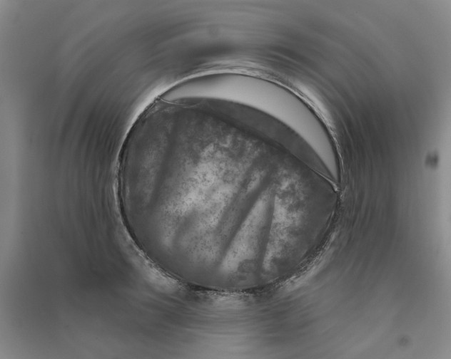 X0000090870899200708171623