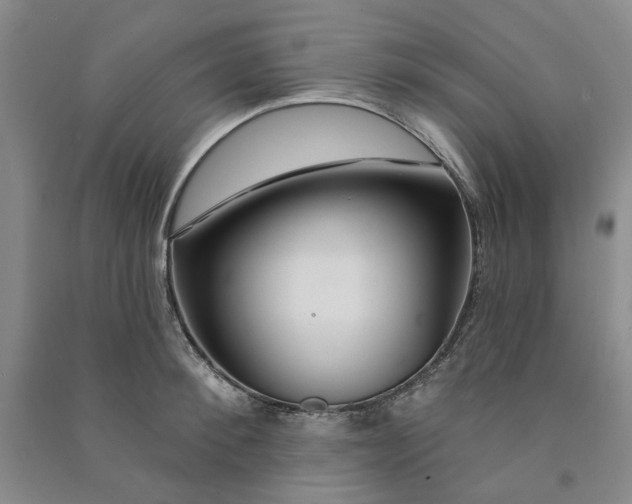 X0000090870900200708171623