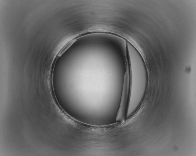 X0000090870901200708171623