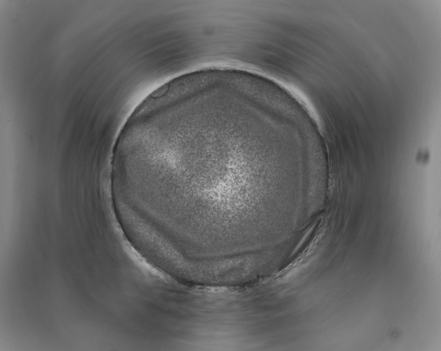 X0000090870903200708171623