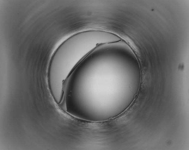 X0000090870904200708171623