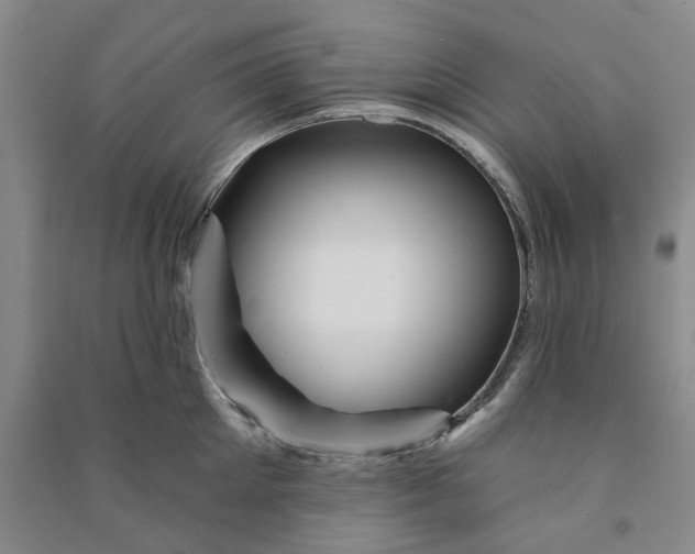 X0000090870905200708171623