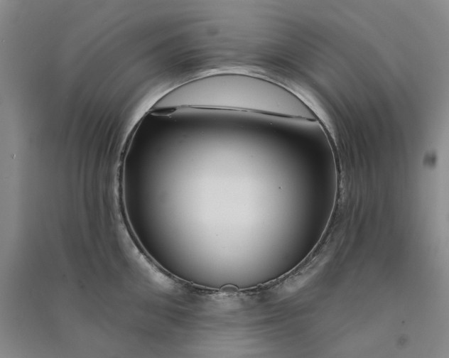 X0000090870906200708171623