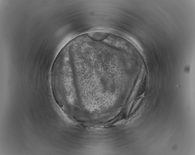 X0000090870907200708171623