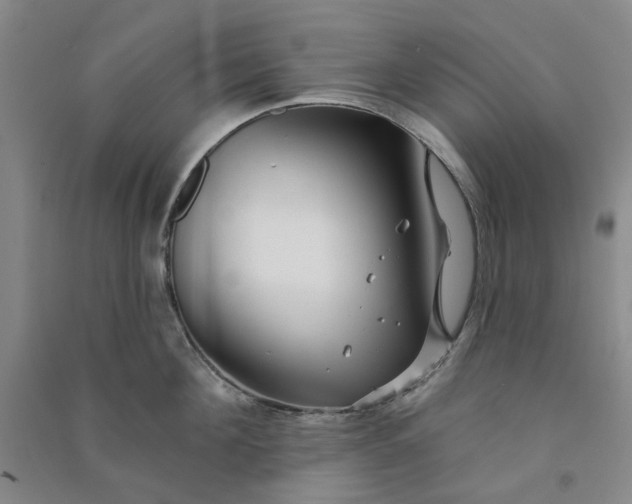 X0000090870908200708171623