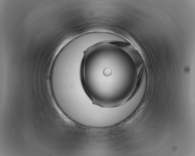 X0000090870909200708171623