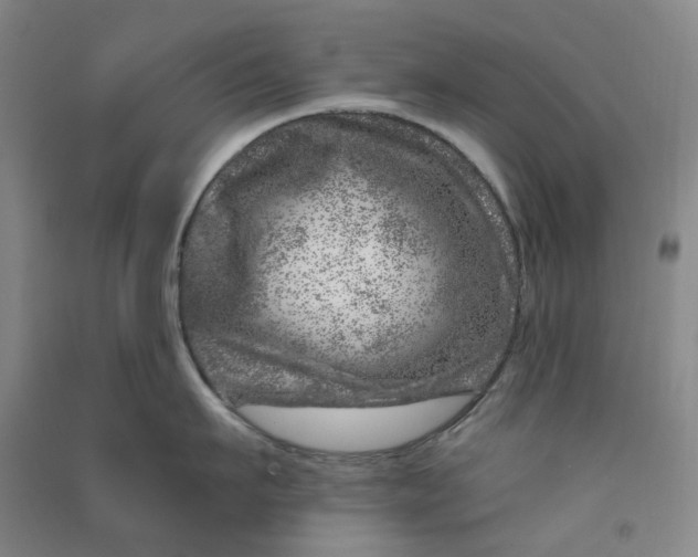 X0000090870911200708171623