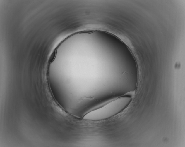 X0000090870912200708171623